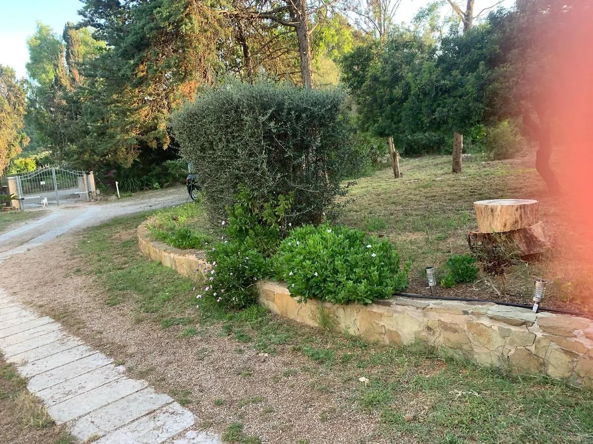 אלגהרו Casa Galleri 0*,